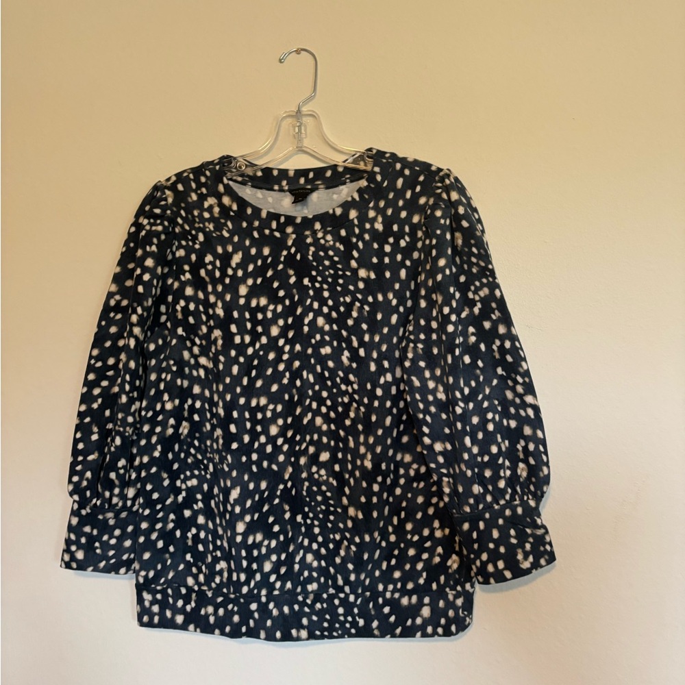 Ann Taylor Blue and Cream Crew Neck Light Weight Sweater